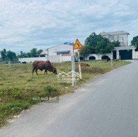 Bán Đất Xã Tân Phú Trung Đường Nhựa Thông, Dt=524M Phun Thổ Khu Dân Cư Hiện Hữu