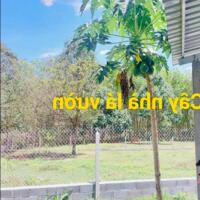 Nhà vườn xã Thái Mỹ, huyện Củ Chi dt gần 1000m2 giá 3ty