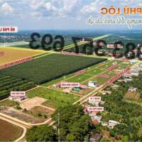 Đất nền KDC Phú Lộc, ĐakLak - 5 lý do NĐT không thể bỏ lỡ sở hữu ngay: