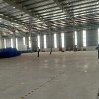 Cho thuê kho xưởng 5000m2; 10.000m2 trong KCN Hạnh Phúc(KCN Đức Hoà 1), Đức Hoà Hạ, Đức Hoà, L. An