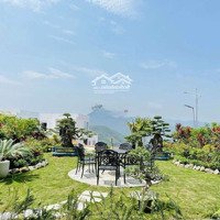 Sống Sang Trọng, Nghỉ Dưỡng Đẳng Cấp Tại Ivory Villas