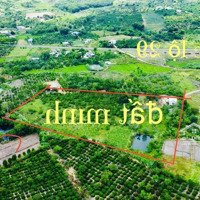 149 Triệu Có Ngay Lô Đất Thổ Cư 10×66 Tại Eadah - Krông Năng