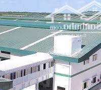 Cho thuê xưởng xây dựng mới 5000m2-19000m2 KCN Nhơn Trạch 2, Huyện Nhơn Trạch, Đồng Nai