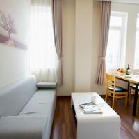 Cho thuê căn hộ 1PN đầy đủ nội thất ngay chợ Tân Định Q1