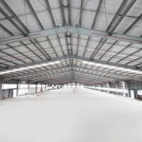 Kho Xưởng Mới Xây 10 - 15000M2 Cho Thuê Trong Kcn Cần Đước, Long An