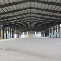 Cho thuê 5000m2, 10.000m2 đường Quốc Lộ 51, xã Long An, Long Thành, Đồng Nai