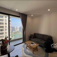 Chính Chủ Cho Thuê Căn Hộ Studio Full Đồ Tại Tòa Nhà C2 D''capitale 119 Trần Duy Hưng