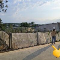 Bán rẻ 1.300m2 đất thổ cư mặt đường betong Khu Làng Chùa Đại Ninh chỉ 2.5 tỷ