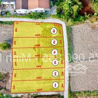 5X24M Full Thổ - Giá: 520 Triệucó Thương Lượngsổ Sẵn. Ôtô Con Cóc. Cách Nhựa 70M