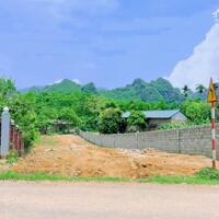 Đất Huyện Lương Sơn 550m, có 537m thổ cư bám mặt đường nhựa Liên xã Tại Cao Dương