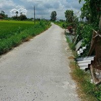 Bán Đất Lúa Đường Ô Tô Bê Tông 3M. Tại Ấp 1, Xã Mỹ Thạnh, Huyện Thủ Thừa, Tỉnh Long An