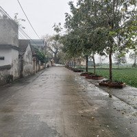 Bán Đất Tại Xã Vân Từ - Phú Xuyên - Hn. S290M.mặt Tiền14M