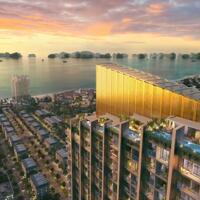 Sở hữu căn hộ cao cấp chỉ từ 399 triệu tại ICON40 - Hạ Long
