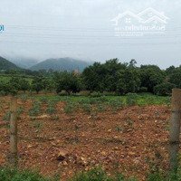 Chính Chủ Cần Tiền Bán Mảnh Nghỉ Dưỡng 6500M . Hoa Sơn - Nam Sơn - Sóc Sơn