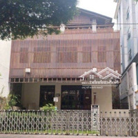 Cho Thuê Tòa Nhà Mặt Tiền Siêu Hot Nguyễn Du Phường Bến Nghé Quận 1