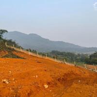 Bán đất Thôn Dy Minh Quang, Ba Vì, dt 1762m2 có 500m2 đất ở, giá 5.7 tỷ