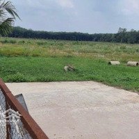 Đất Lớn 4.36 Ha (43.600M2) Long Nguyên, Bàu Bàng, Bình Dương 21.5 Tỷ