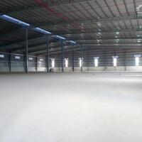 Cho thuê xưởng 9000m2 KCN Mỹ Xuân, Tx Phú Mỹ, BRVT