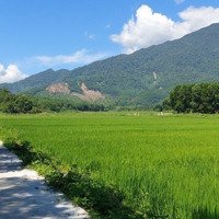Đất View Lúa. View Núi Hòa Phát, Hòa Phú, Đà Nẵng
