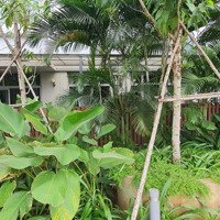 Căn Hộ Sân Vườn Liền Thổ Palm Heights 100M2 Giá Tốt 7,5Ty Còn Tl
