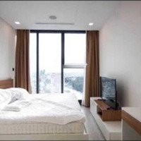 Cần Bán Gấp 2 Phòng Ngủvòng Cung Vinhomes Bason Sở Hữu Lâu Dài 80M2 Sổ Hồng Sẵn View Thoáng Giá Bán 12,5 Tỷ