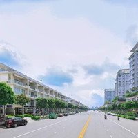 Cho Thuê 2 Căn Thông, 1000M2 Sử Dụng, Hoàn Thiện, 219 Triệu/Tháng, Và Một Số Căn Thông Khác