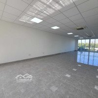 Cho Thuê 2 Căn Thông, 1000M2 Sử Dụng, Hoàn Thiện, 219 Triệu/Tháng, Và Một Số Căn Thông Khác