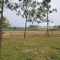 Bán 2000M2 Đất Ven Suối Rộng View Cánh Đồng Xung Quanh Là Biệt Thự Nhà Vườn Tại Minh Phú, Sóc Sơn