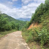 10 Ha Sầu Riêng Và Mít Gần 3 Năm Cần Bán Tại Khánh Hòa