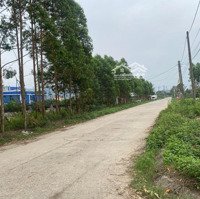 Bán Đất Tại Tân Mai, Phường Đông Mai, Thị Xã Quảng Yên, Quảng Ninh