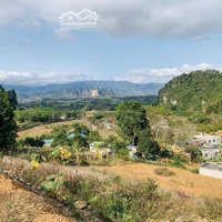 Bán Đất Cao Phong – Hòa Bình, 9300M, 2,4 Tỷ