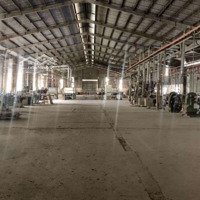 Bán Xưởng 12000M2, Sổ Riêng,1000Kva, Kcn Thạnh Phú, Biên Hòa, Đồng Nai