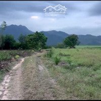 Hàng Hiếm Ninh Tân 2Mặt Tiềnđường Đất 700 Triệu/Hecta