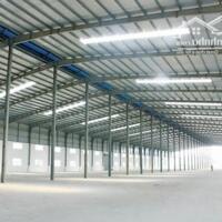 Cho thuê kho 1720m2 và 2800m2 KCN Cát Lái, Tp Thủ Đức