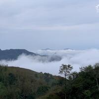 Cần bán 76.000m đất Homestay NOONG LUÔNG, MAI CHÂU, HÒA BÌNH giá rẻ hơn thị trường.