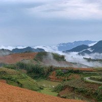 Cần Bán 76.000M2 Đất Homestay Noong Luông, Mai Châu, Hòa Bình, Giá Rẻ Hơn Thị Trường