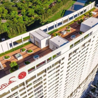 Bán Gấp Midtown M8, 113M, 3 Phòng Ngủ 2 Vệ Sinh Nhà Bàn Giao Phú Mỹ Hưng, Ở Liền