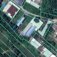 Bán Đất 168M2 + Nhà Cấp 4 Tại Long Tân Nhơn Trạch Đồng Nai Chính Chủ