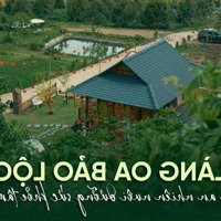 Đất Bảo Lộc Cần Bán 1000M2 - Làng Oa Bảo Lộc Có Hồ, Suối Và Vườn Rau