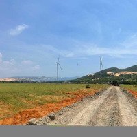 Tôi Cần Bán 1,7 Sào Đất Cách Cung Đường Đôi Bàu Trắng & Biển Chỉ 1,2Km, Giá Công Khai 315 Triệu