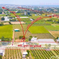 Bán Lô Mặt Tiền Đường 29M - Cách Biển 1,2Km