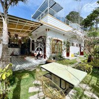 Villa Sân Vườn Cho Thuê P8 Dalat