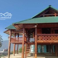 Bán Hệ Thống Homestay Nghỉ Dưỡng Lâu Đời Nhất Tà Xùa Vị Trí Gần Cổng Chào Mặt Đưởng Tỉnh Lộ 112