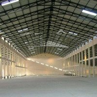 Cho Thuê Kho Chứa Hàng 3000M2 Đến 20.000M2 Tại Thống Nhất Gò Vấp.