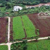 Bán 9,5 Hec Chưprông, View Điện Gió, Thích Hợp Làm Farmstay, Nông Nghiệp Sạch Kết Hợp Du Lịch