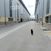 Kho Xưởng Đẹp Mới(10000M2)Mt Cont 24/24,Pccc Thẩm Duyệt,Trạm Sx