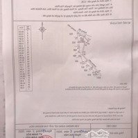 Bán Lô 2.000M2 Đất Lúa Qui Hoạch Cây Hàng Năm, Ngang Bám Đường 42M Giá Bán Nhanh 230 Triệu