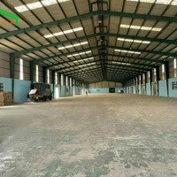 Cho Thuê Kho Xưởng 10.800M2 Sạch Đẹp Giá Tốt Tại Bến Cát, Tỉnh Bình Dương