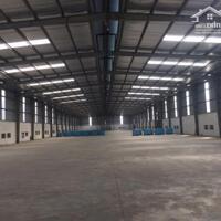 Cho thuê kho xưởng 1300m2, 2300m2, 2600m2 PCCC tự động nghiệm thu tại KCN Phú Nghĩa, Hà Nội