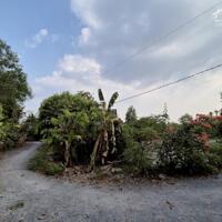 Bán lô đất vườn ngay tại phường Phước Tân dt 2000m2 giá chỉ 7,2 tỷ